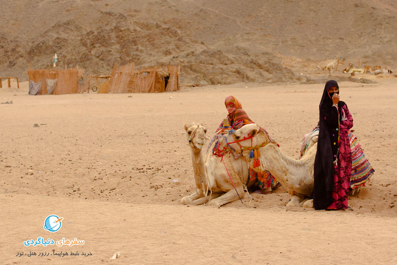 تور ایرانگردی